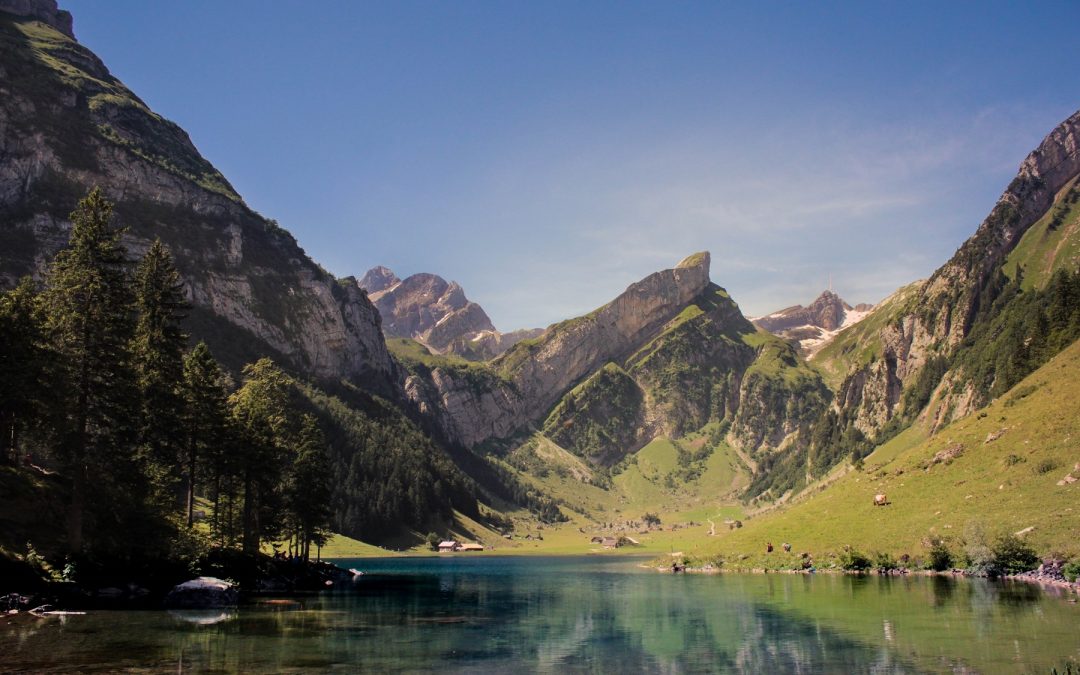 Find the Center Within