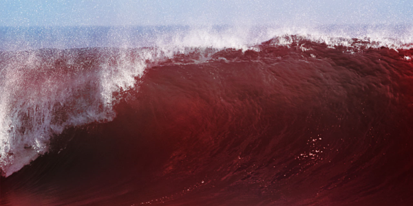 A Sea of Red