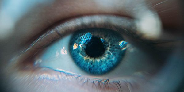 Blinspots