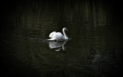 Emini SP 500 Support Found  Overnight