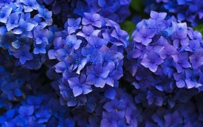 E-mini SP 500 volatility