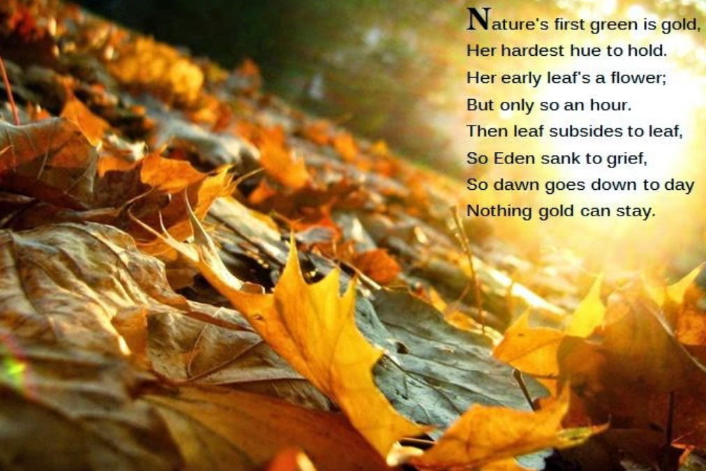 Fall Back, Spring Ahead